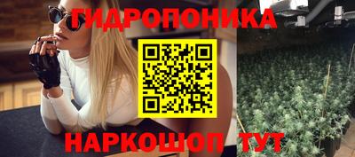 Альфа ПВП Будённовск