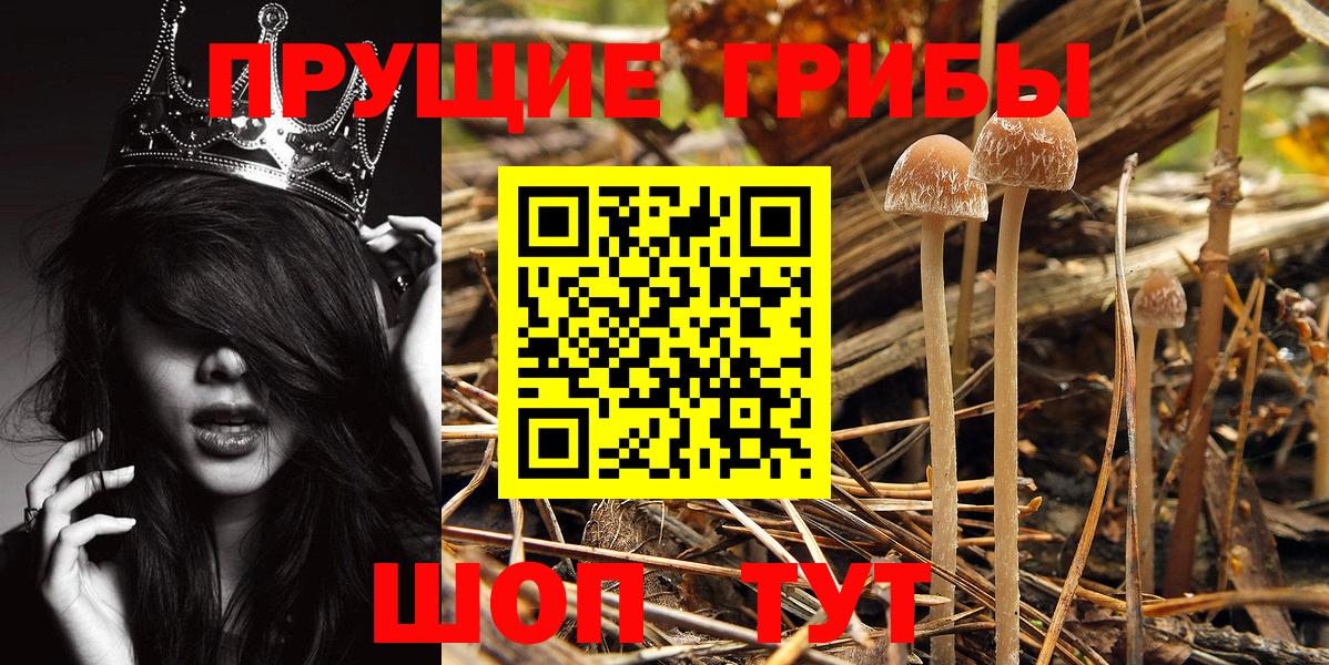 Галлюциногенные грибы мухоморы Лянтор