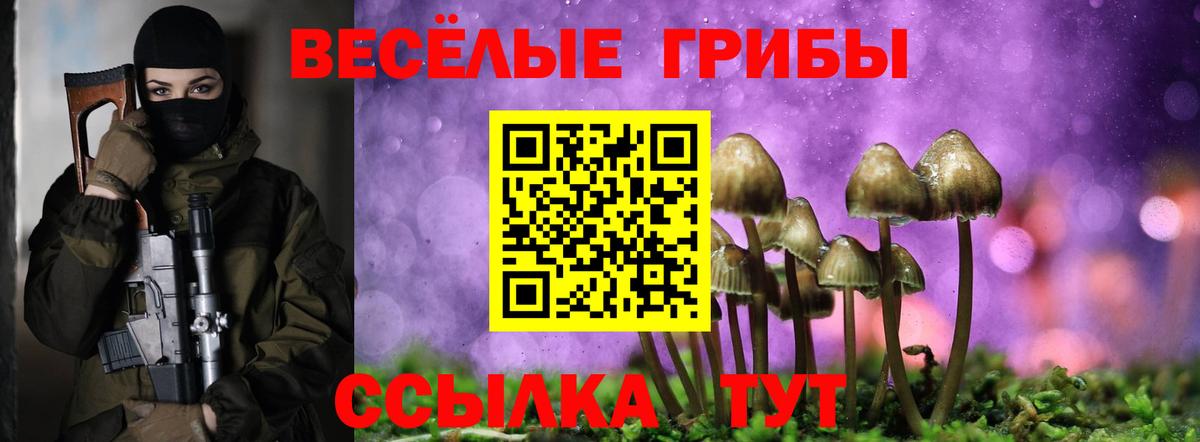 Галлюциногенные грибы мицелий  Галлюциногенные грибы мицелий  Лянтор  Вход с VPN 